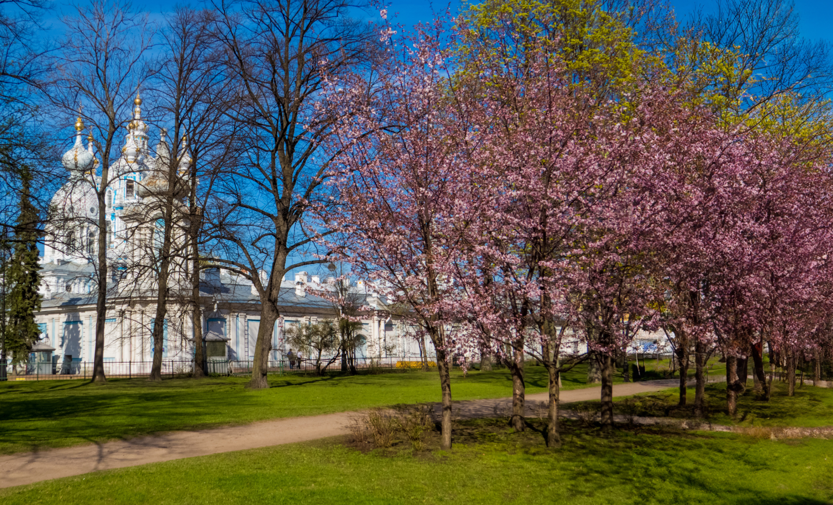 Сад-партер Смольного