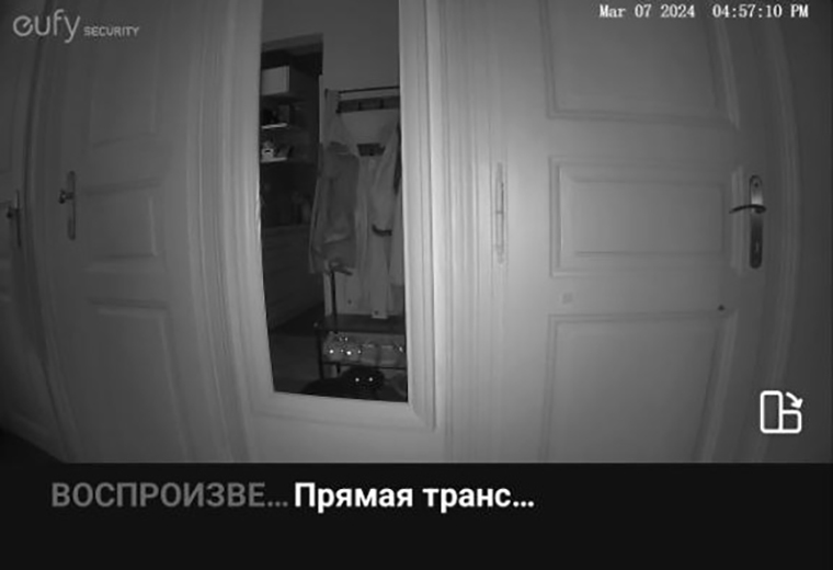 Перед уходом я всегда включаю видеоняню, чтобы следить за Каем. Она отправляет мне уведомления на смартфон после любого звука в квартире. На этом скриншоте, например, Кай встал попить воды