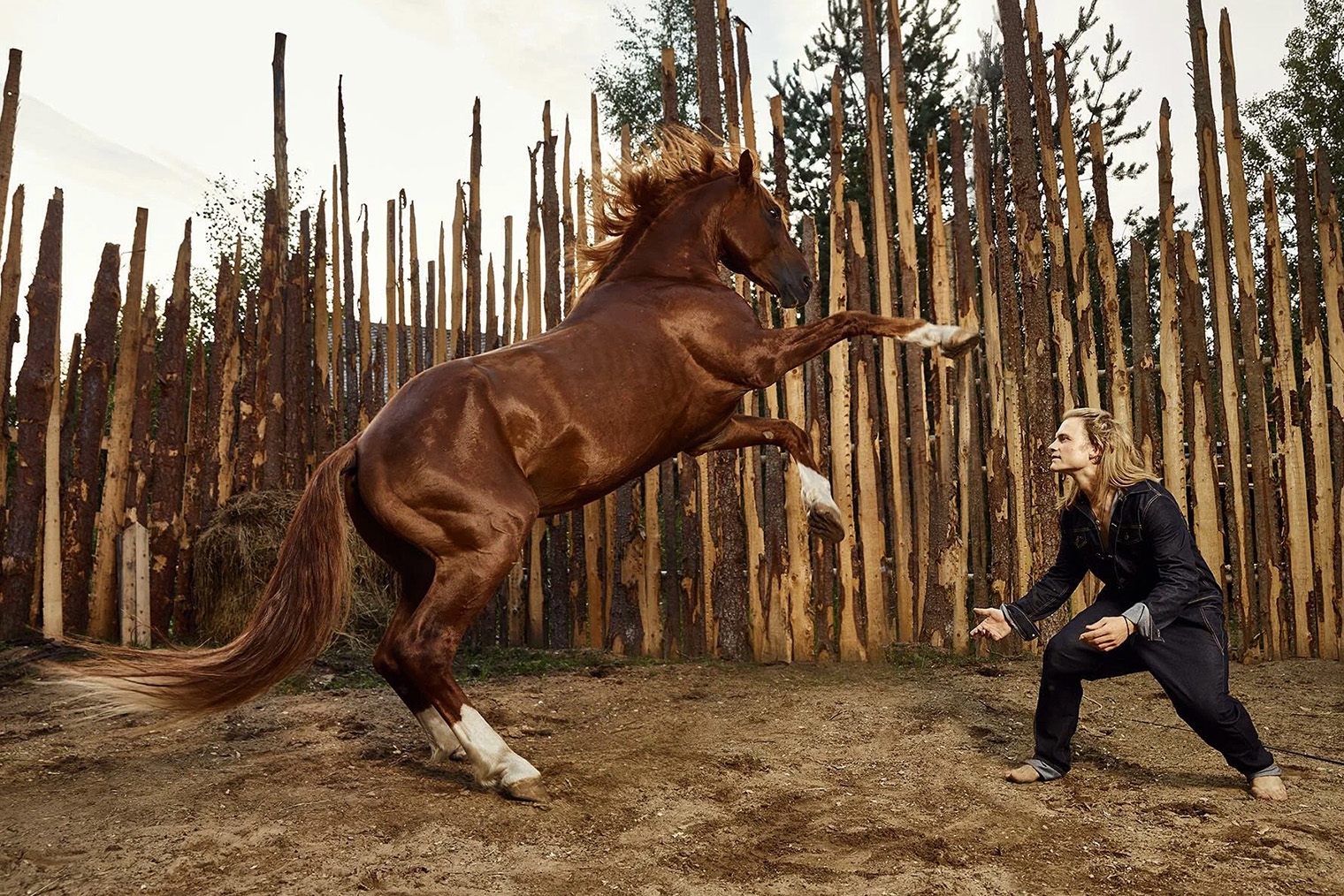 В этом театре лошади играют роли как настоящие артисты. Источник: boomstarter.ru
