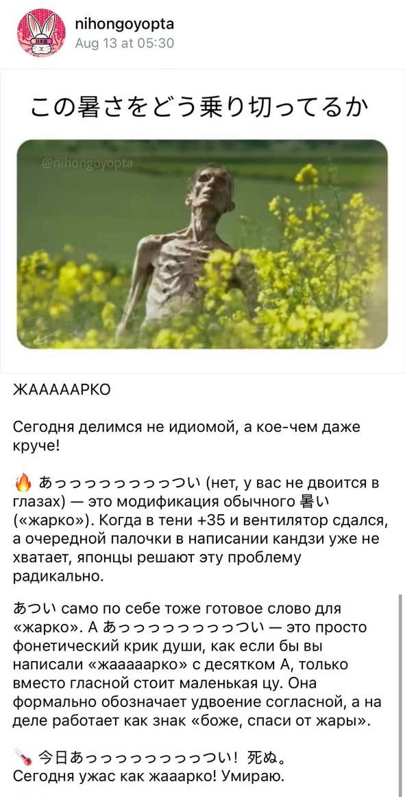 Объяснения в постах всегда сопровождаются примером и картинкой, часто мемом. © Сообщество nihongoyopta во «Вконтакте»