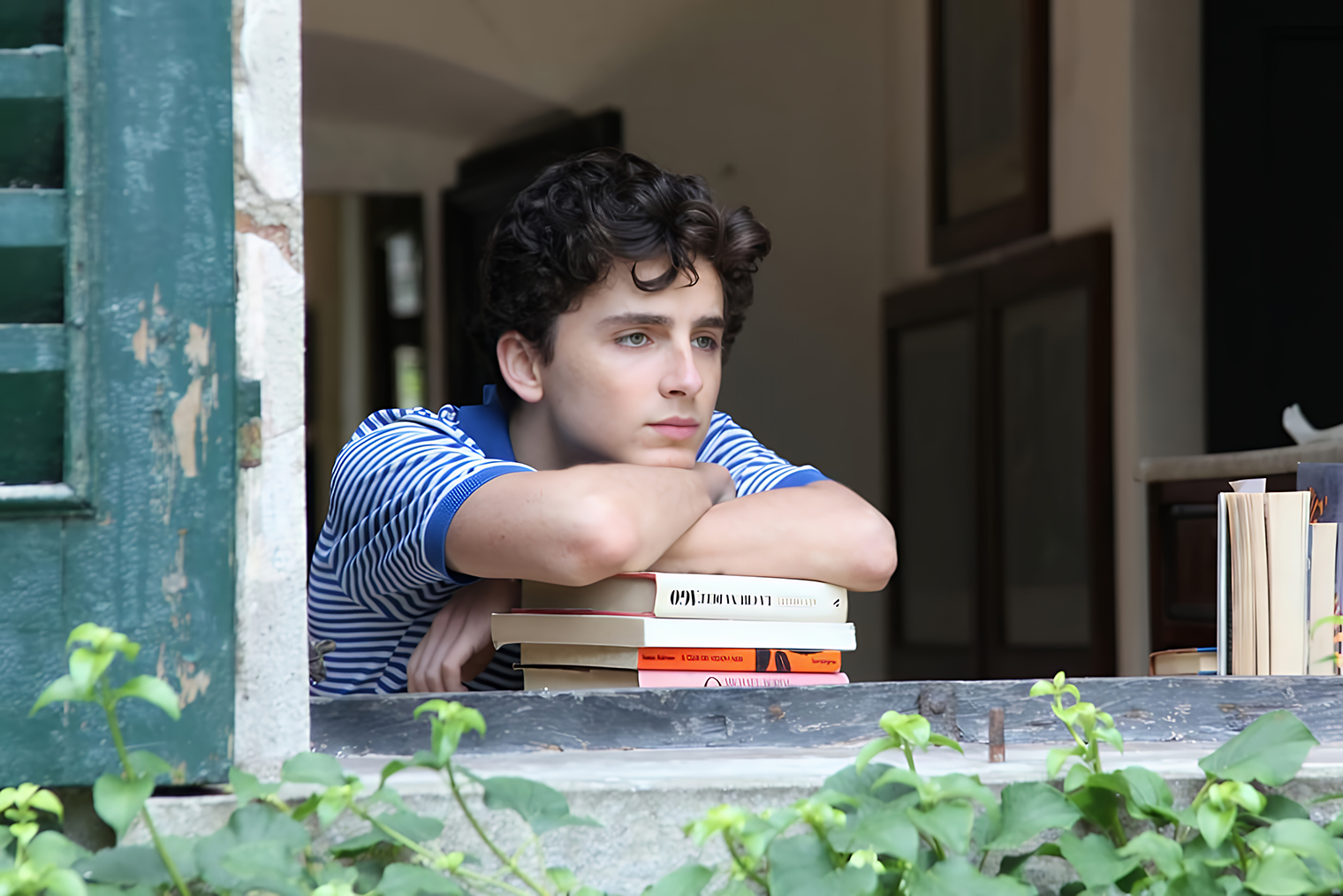 Сейчас у Гуаданьино в разработке находится вторая часть «Назови меня своим именем». Появится ли в ней Шаламе, пока неизвестно. © Sony Pictures