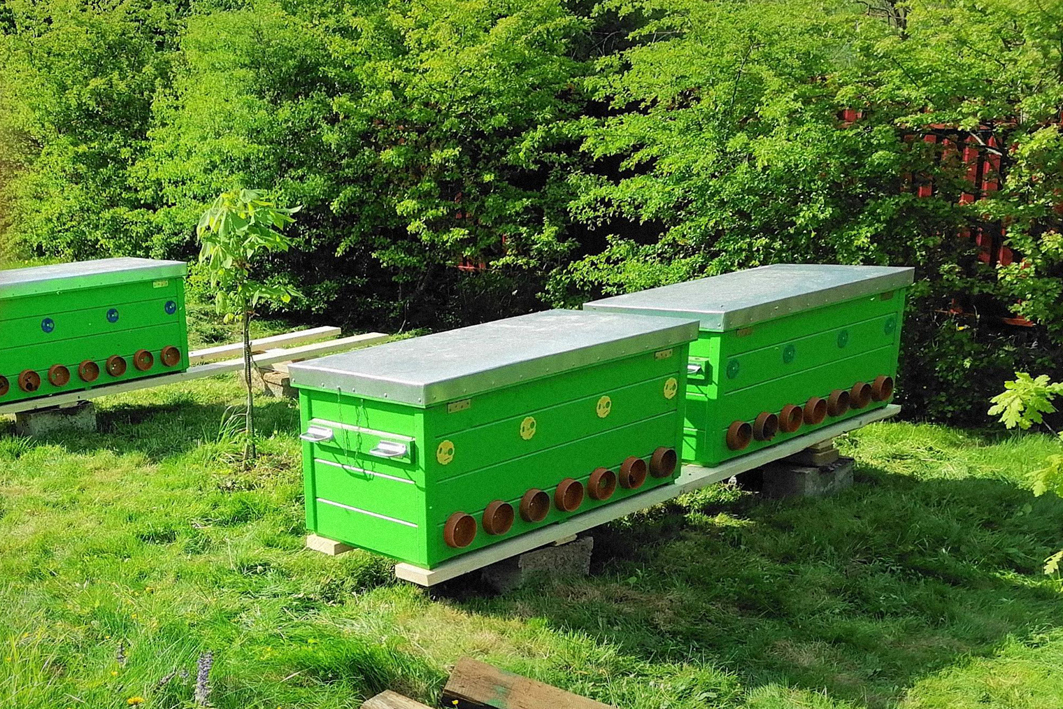 Улей-лежак «Владимирский». Фото из архива автора