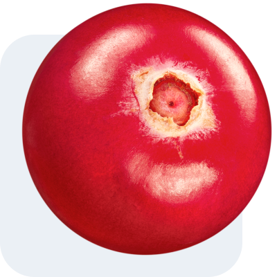 Лейбл заголовка