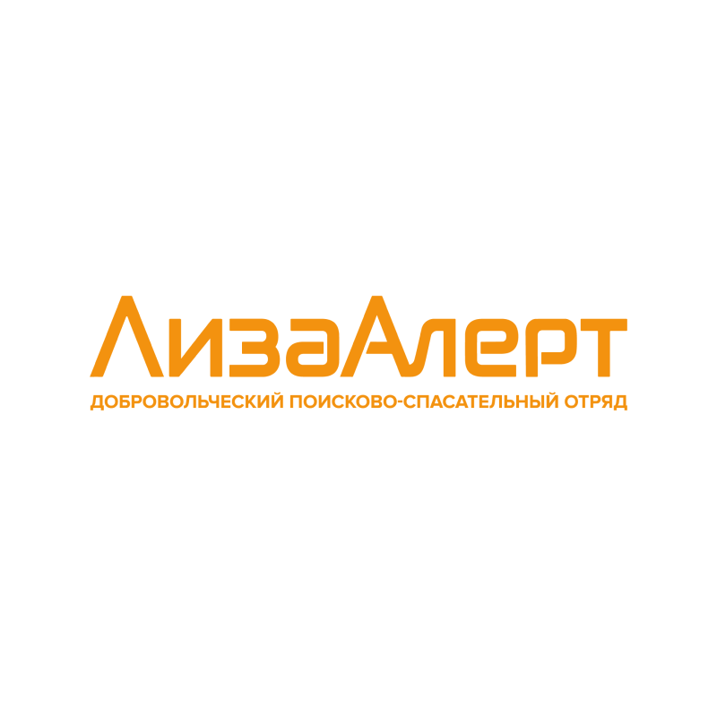 Добровольческий поисково-спасательный отряд «ЛизаАлерт»