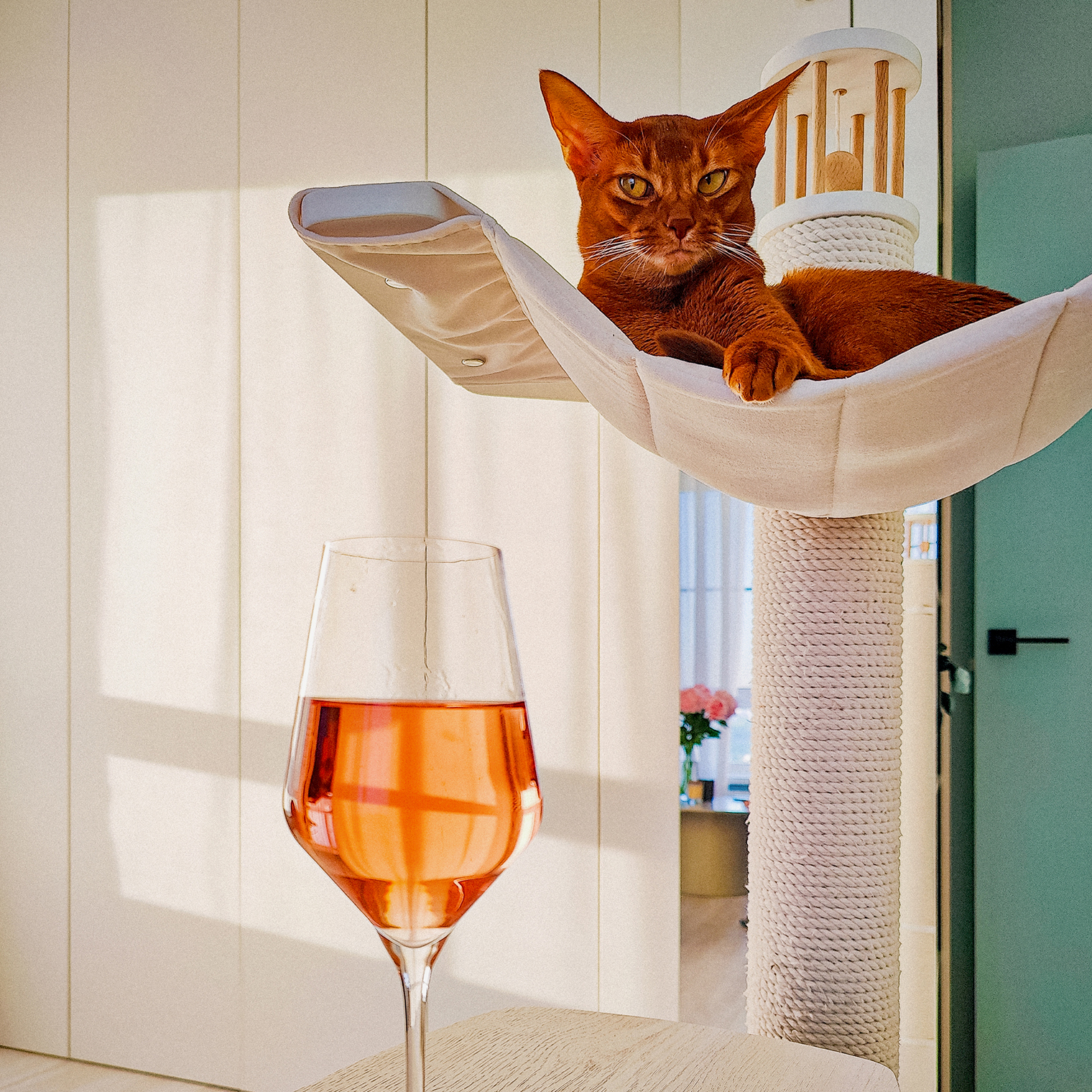 Это не кошка, это директор квартиры с манией гиперконтроля. Всегда первая в любом движе. И ни за что сама спать не пойдет, пока все подотчетные человеки не улягутся