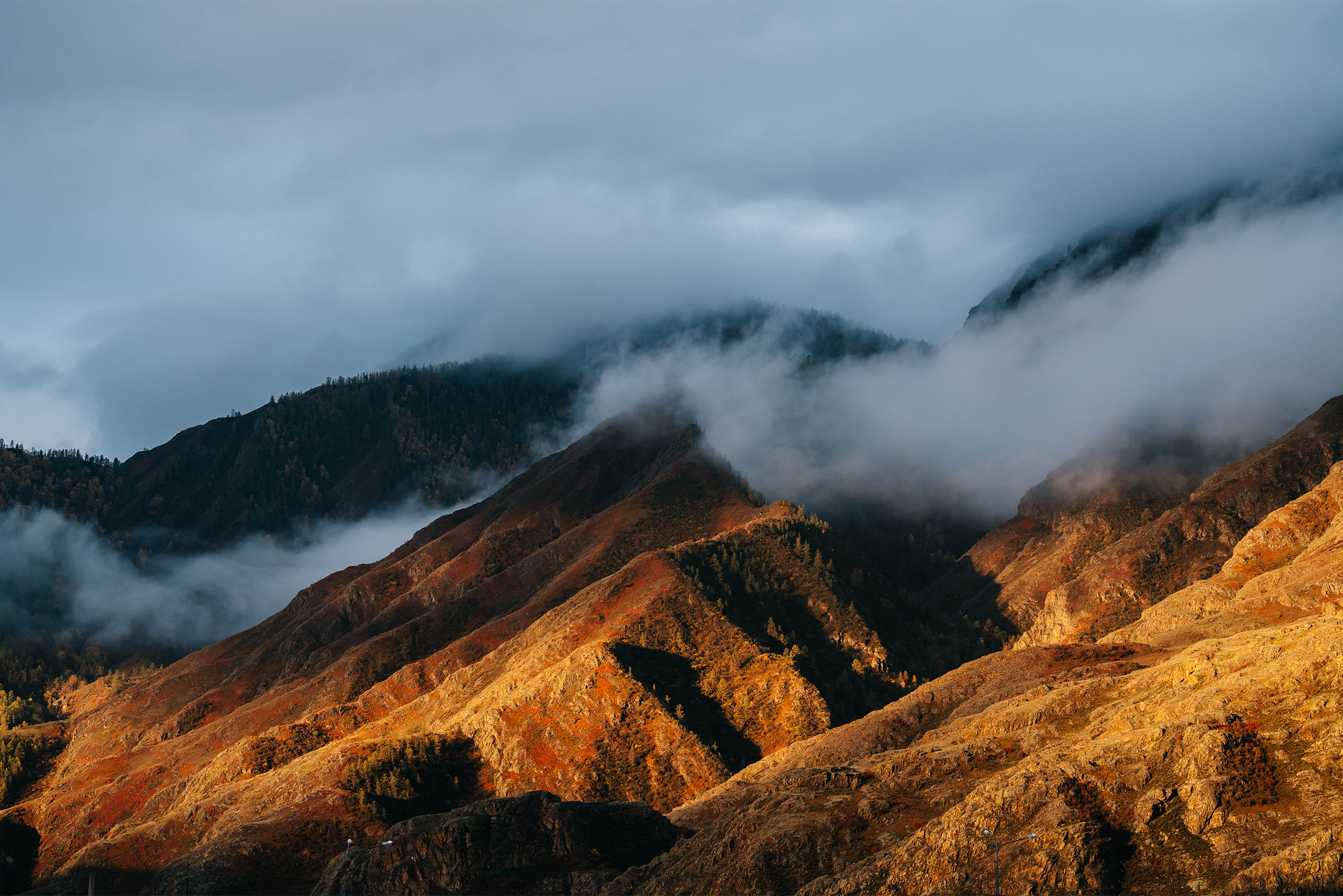 На Алтае непредсказуемая погода: готовишь свадьбу целый год, а дождь может все испортить