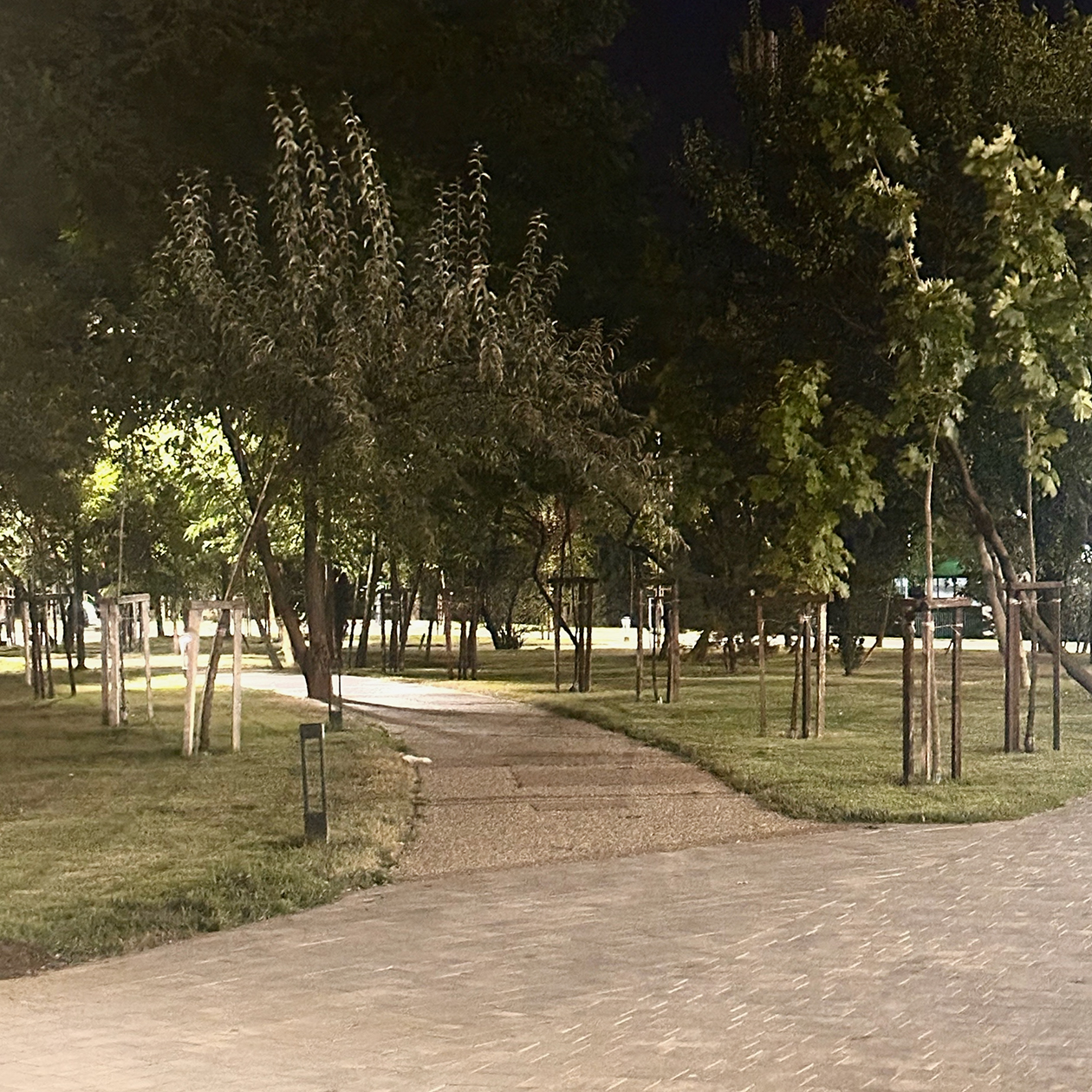 Хоть уже и поздно, в парке светло и приятно