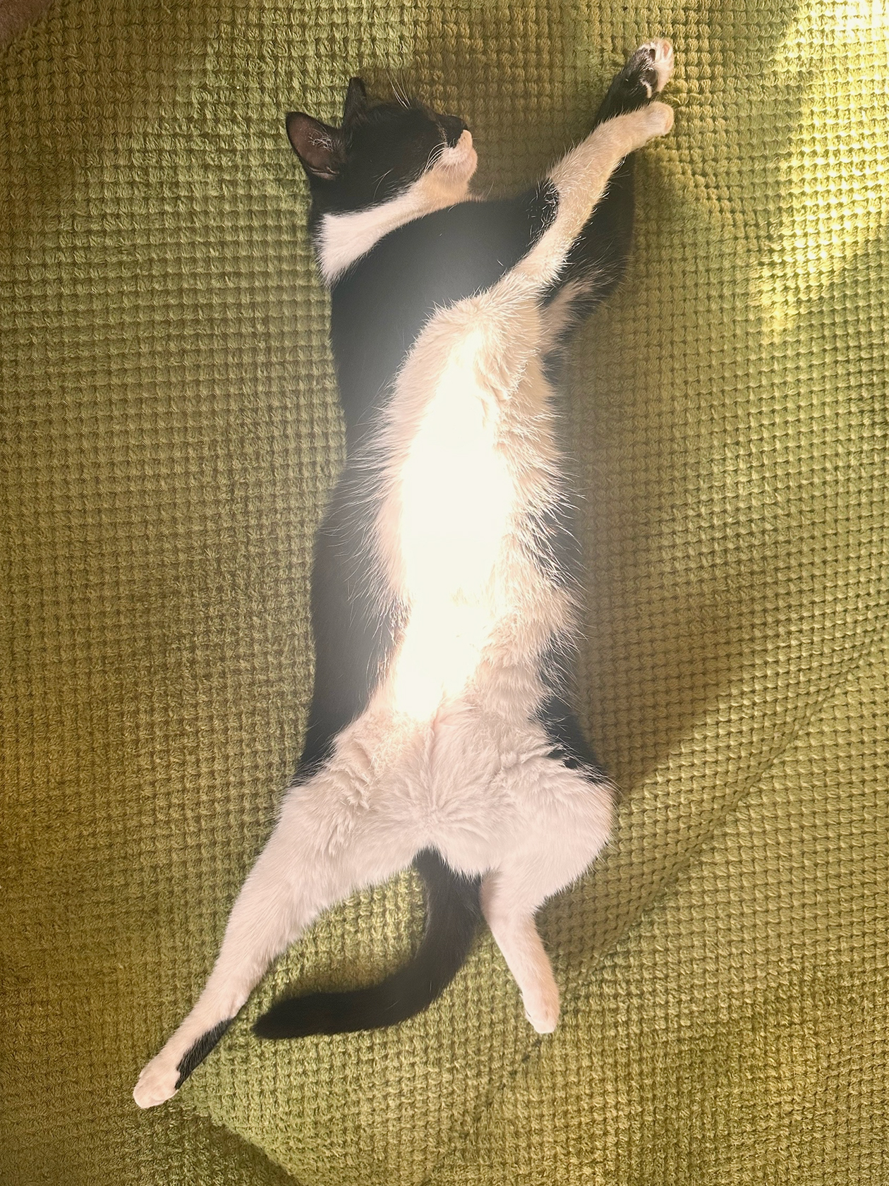 Ну что за красотка!