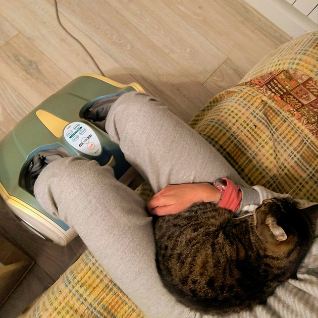 Расслабляемся с кошкой в обнимку