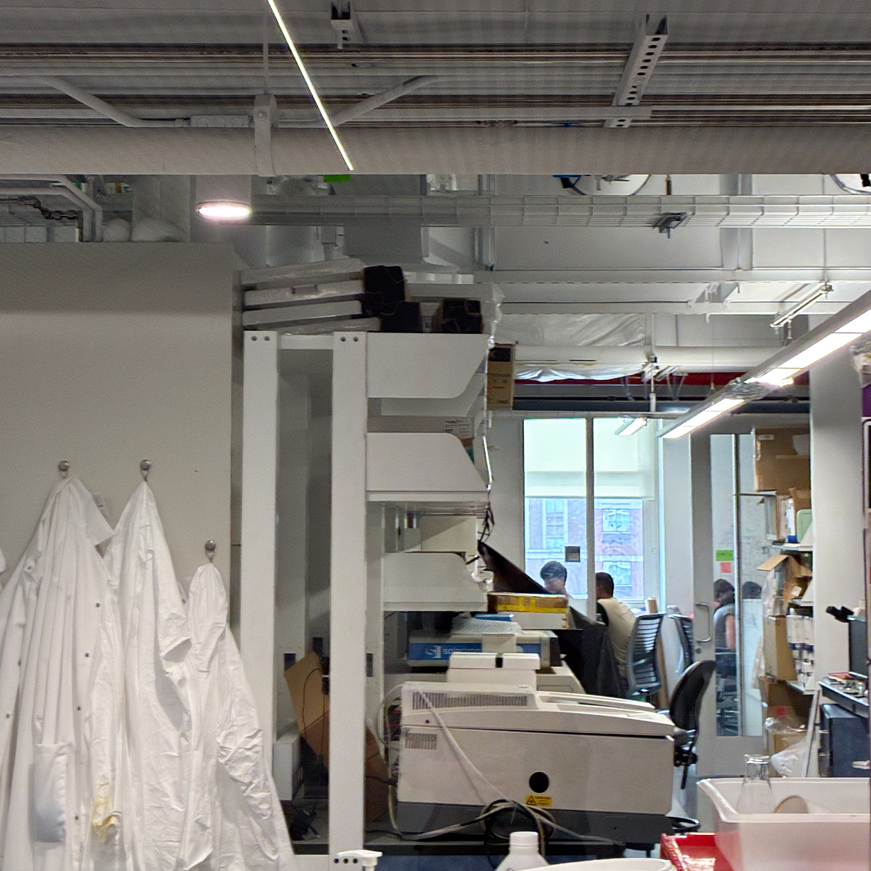 Исследовательская работа кипит