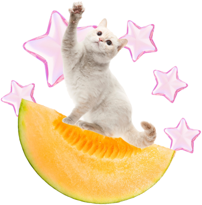 Лейбл заголовка