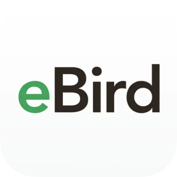 eBird