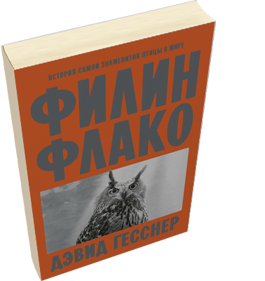 Лейбл заголовка