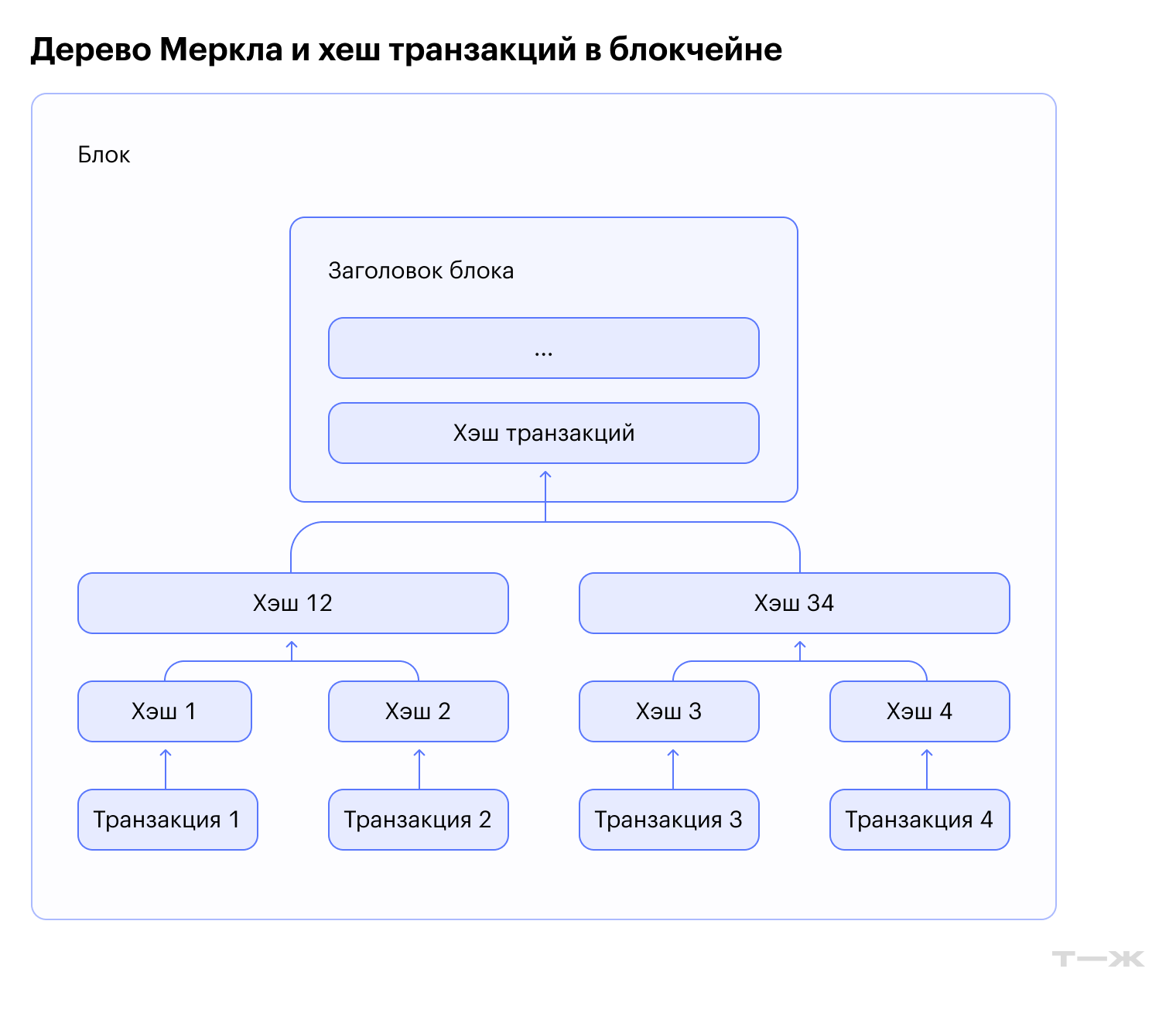 Дерево Меркла — это способ компактно упаковать все транзакции блока: их хеши попарно склеиваются, пока не останется один корневой хеш