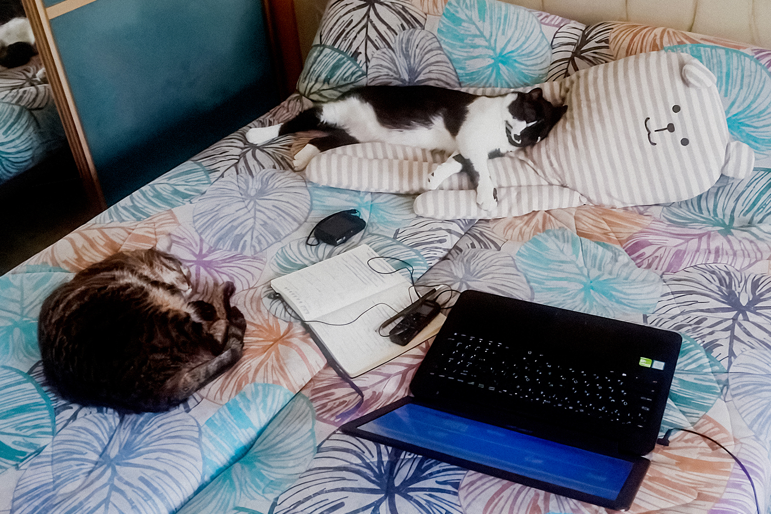 Фру и Берендей помогают мне работать