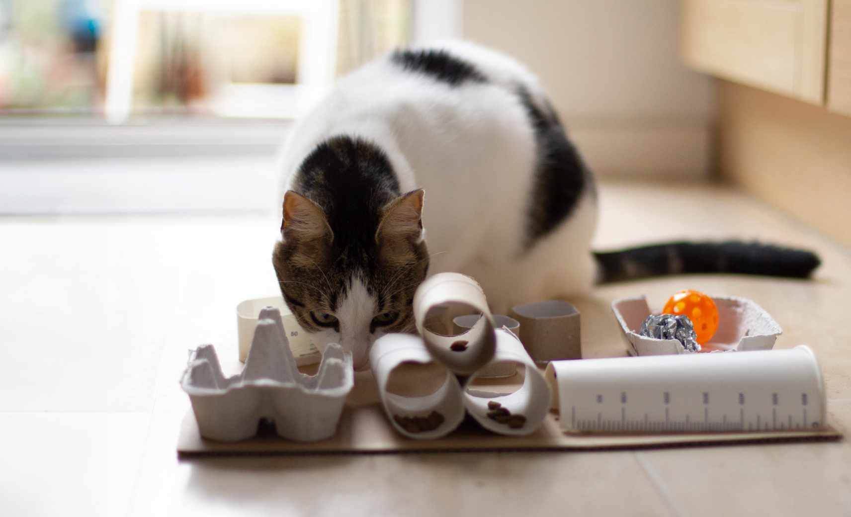 …И добывать еду из самодельных пищевых головоломок