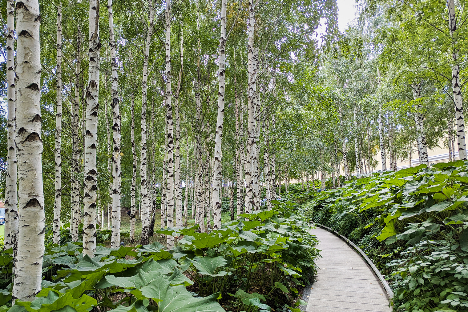 Прогулка до метро через ГЭС-2