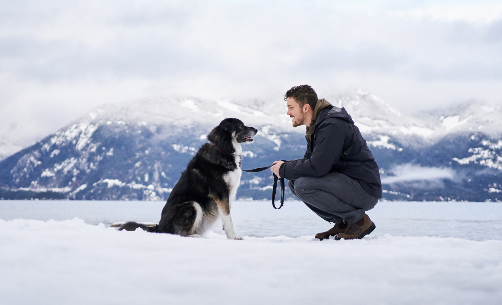 Понимают нас лучше, чем мы их