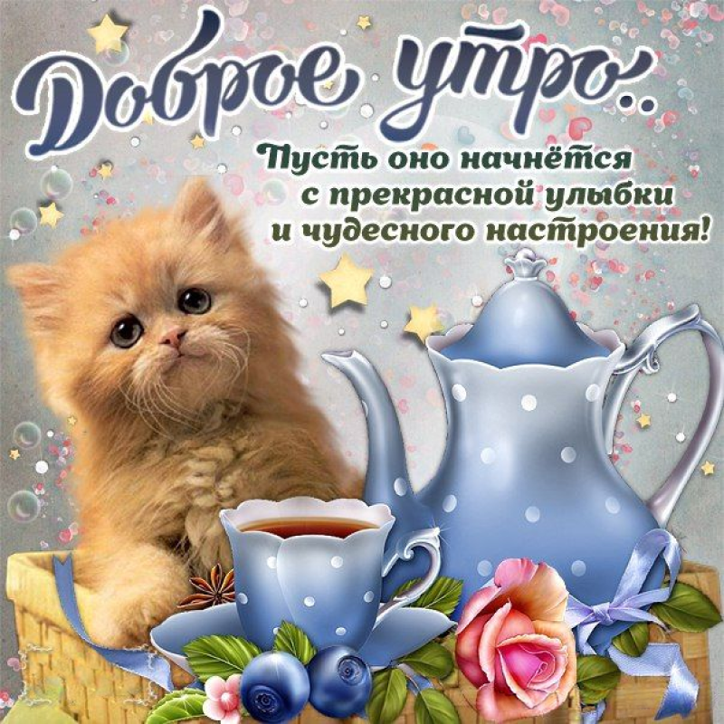 Кот с чайным сервизом