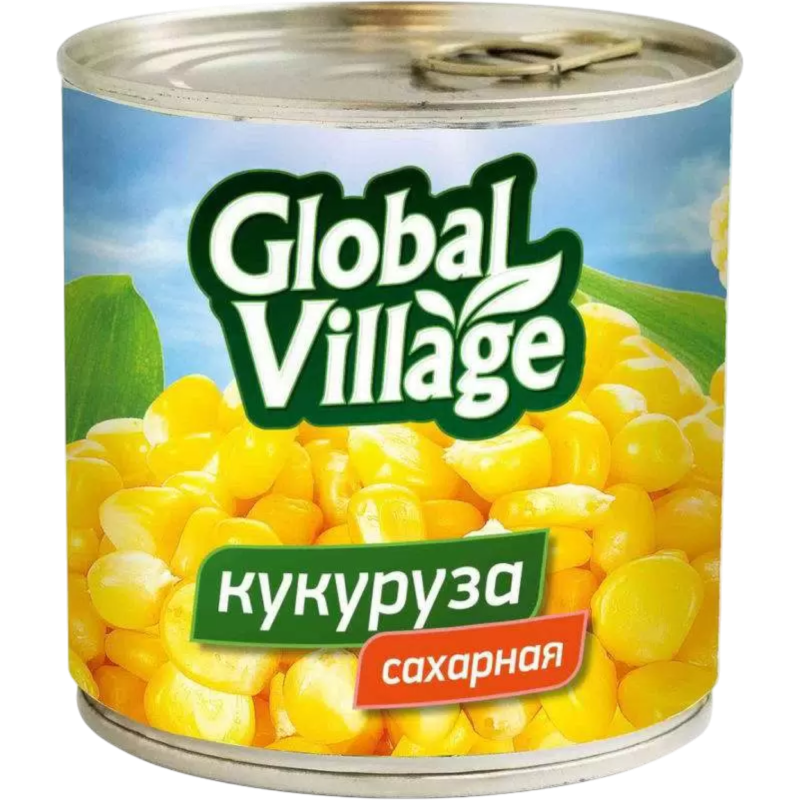 Global Village