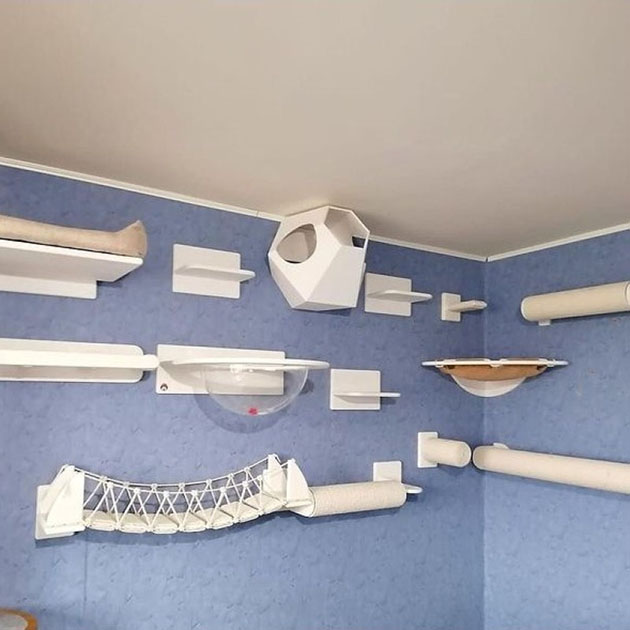 Пример кошачьего настенного комплекса. В такой комнате три кошки запросто разойдутся. © mybobr.ru