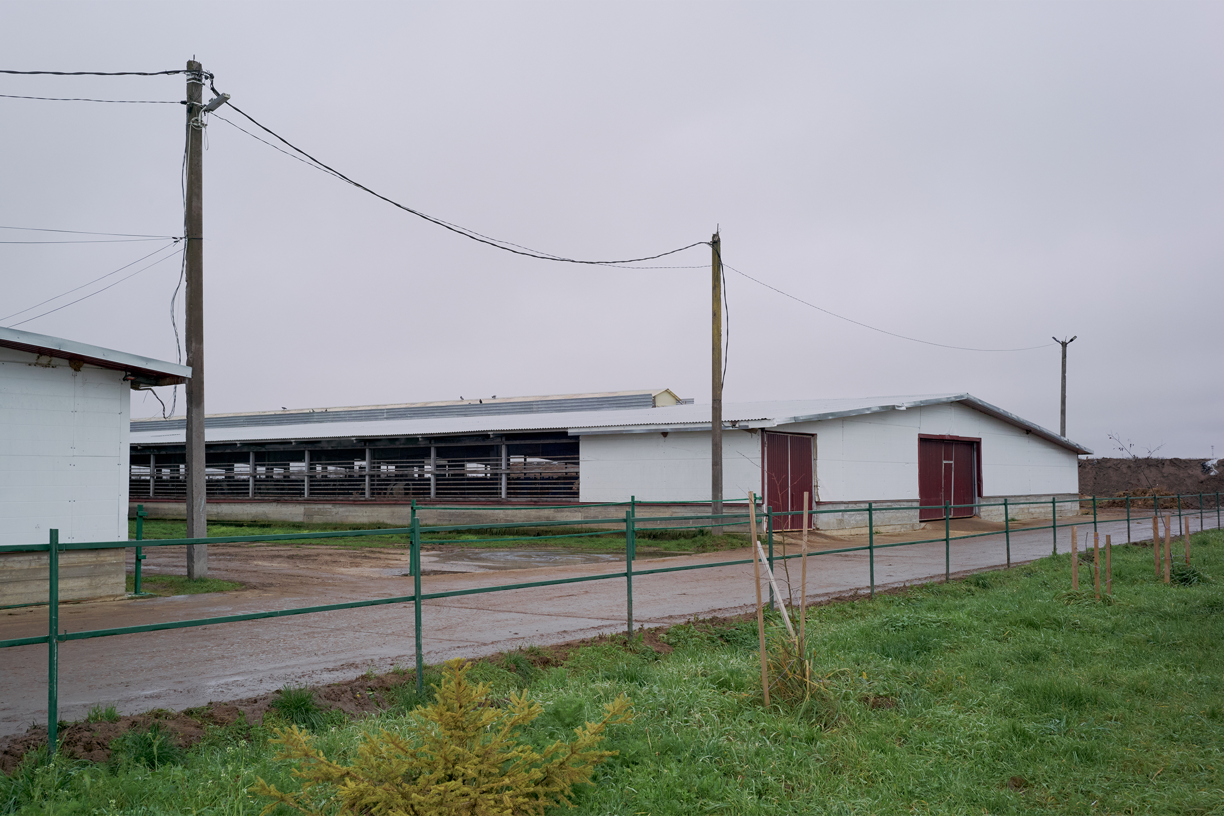 Помог друг отца