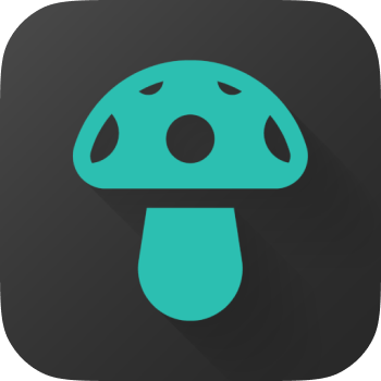 ShroomID — Mushroom Identifier