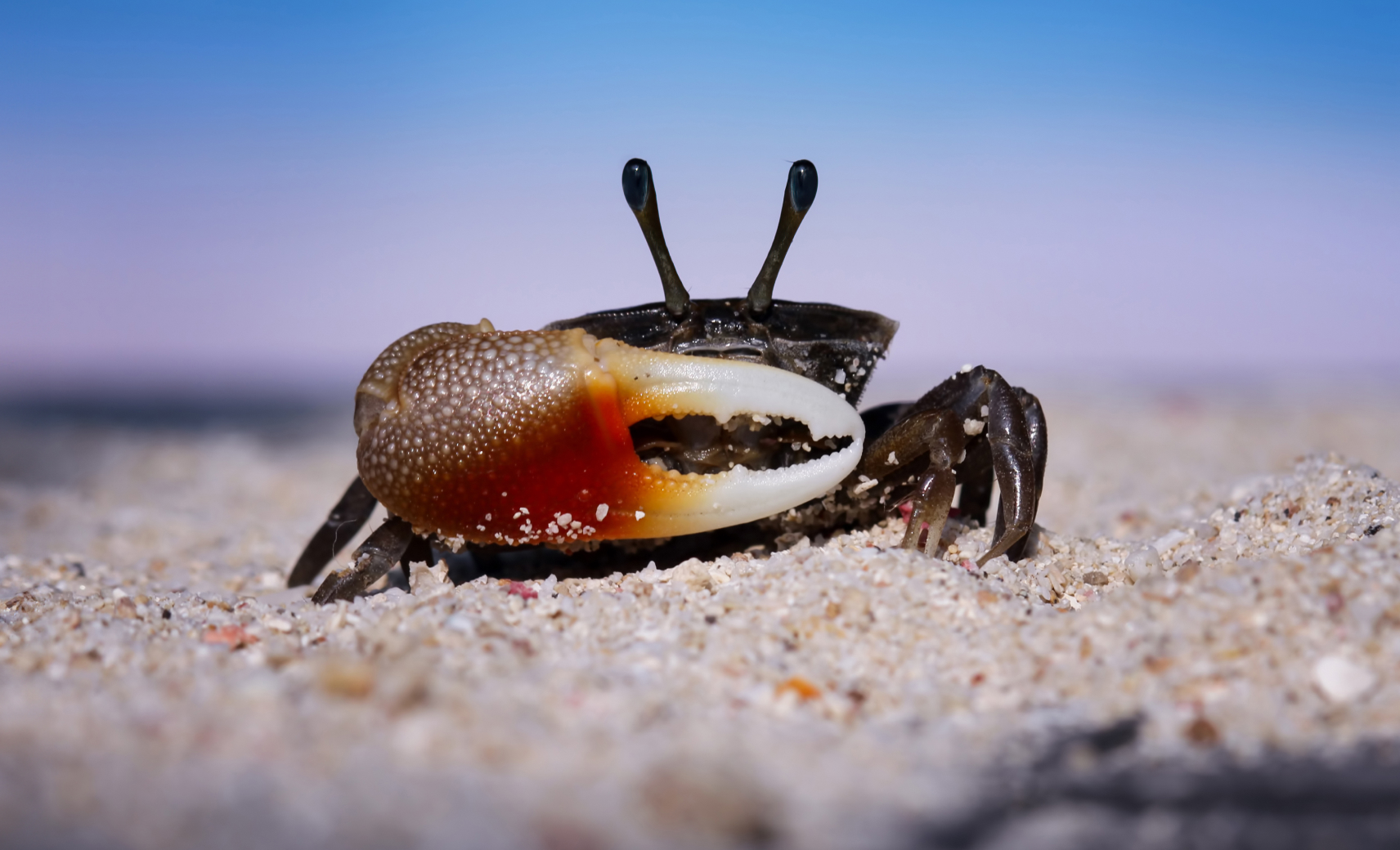 Пугают «пустышками»