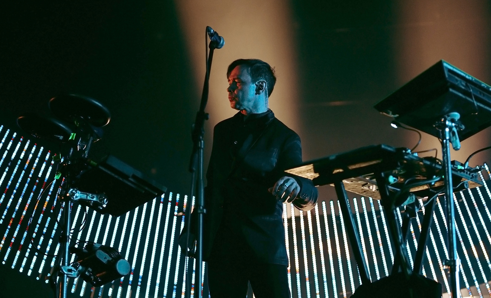 концерт Дельфин