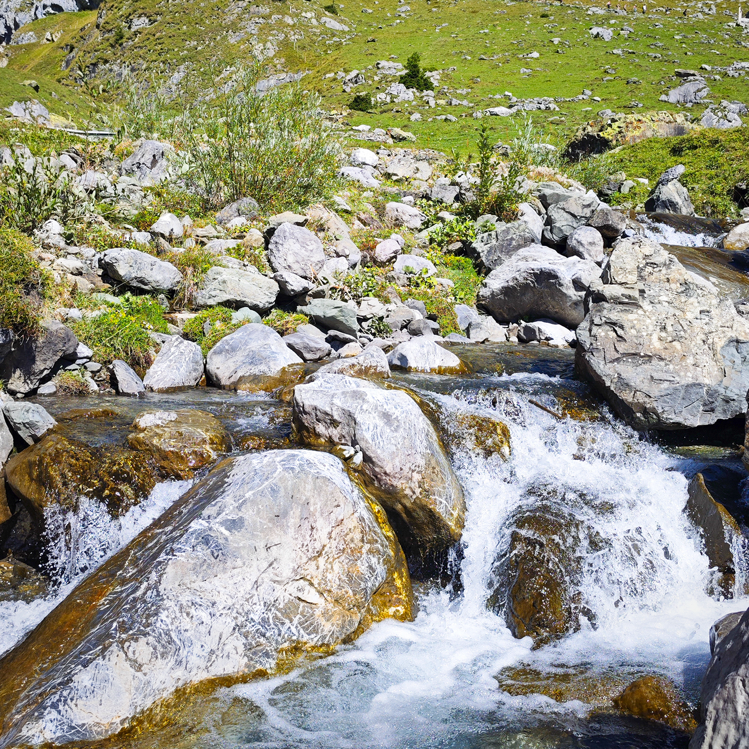 В долине эти тонкие ручейки превращаются в бурлящий поток воды