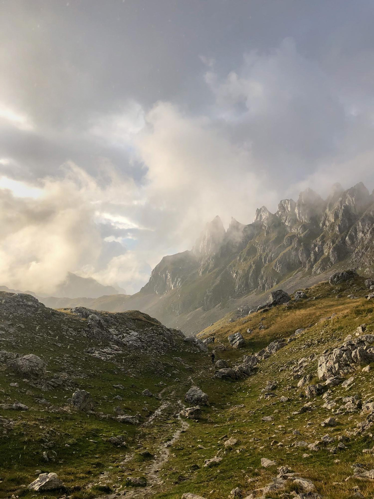 Удивительная дикая природа Черногории наполняет эмоциями и освобождает сознание от ненужных мыслей