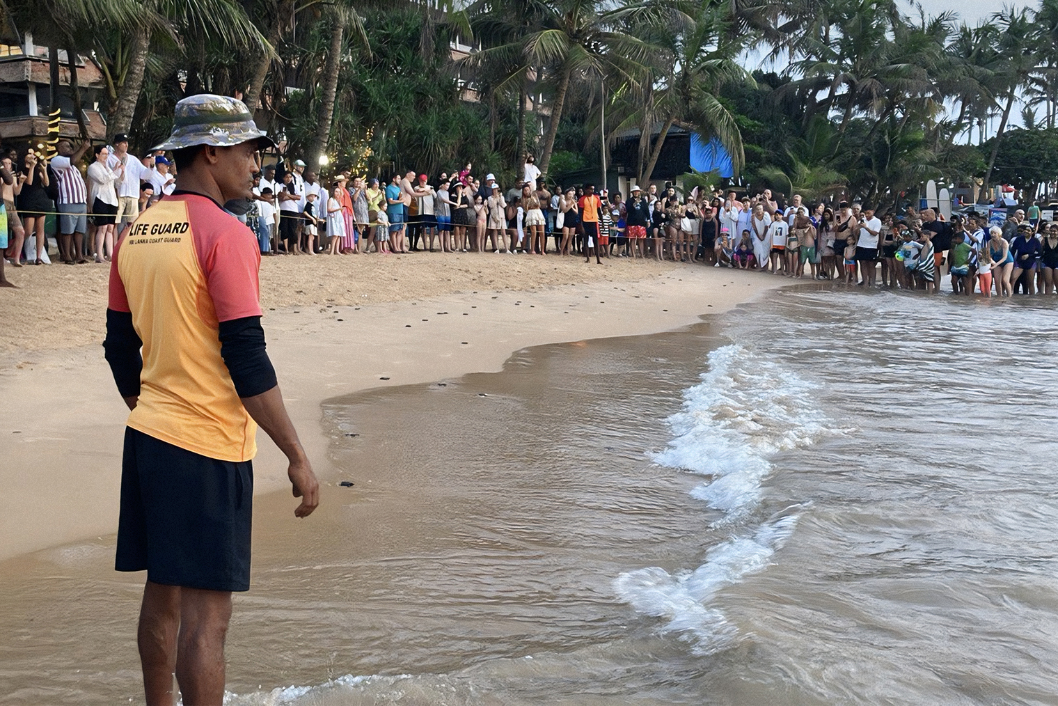 Спасатели на закате заранее ограждали территорию и не пускали никого в воду, пока все черепашата не уплывут в самостоятельную жизнь