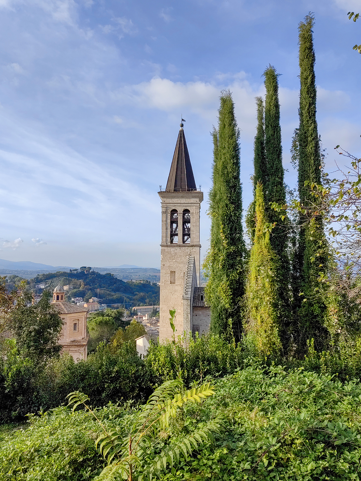 Мне очень нравятся вертикальные акценты. Кипарисы и башня собора образуют удивительно гармоничную группу