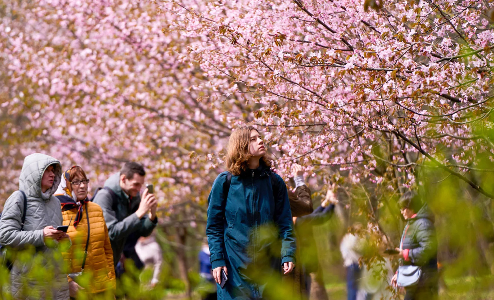 Бирюлевский дендропарк