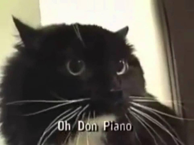 «Ох, Дон Пиано». © YouTube