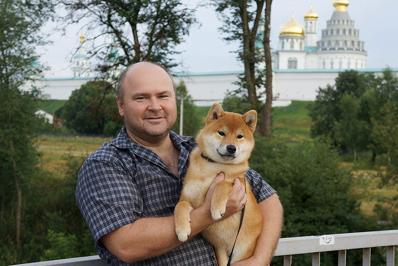 Полугодовалая собака — подросток со своим характером