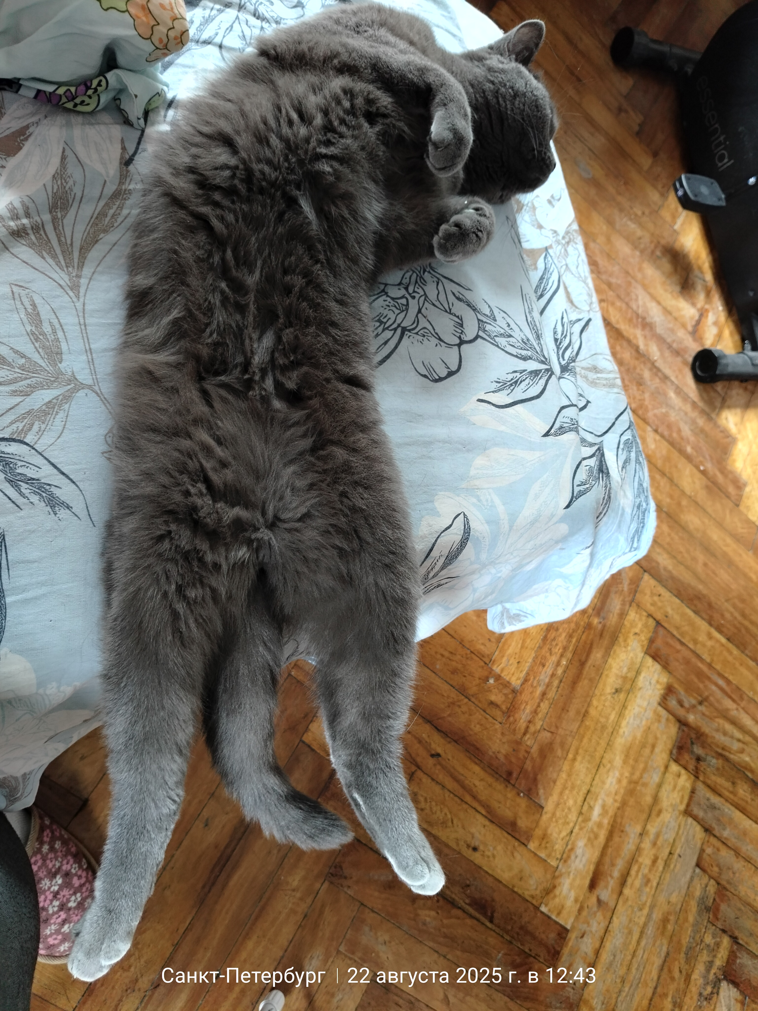 А теперь любите меня,ласкайте меня, а еще вкусняшку давайте