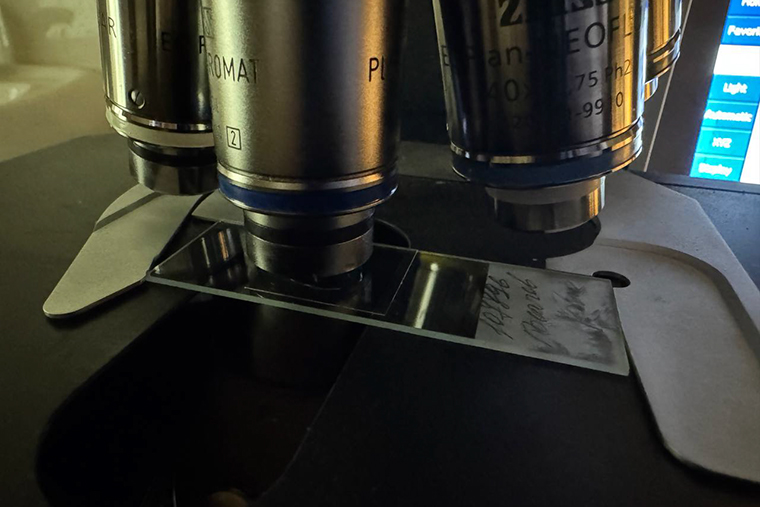 Изучаю стекла под микроскопом