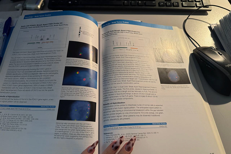 Так выглядит каталог зондов