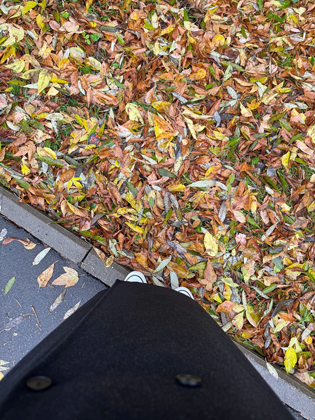 По дороге на работу