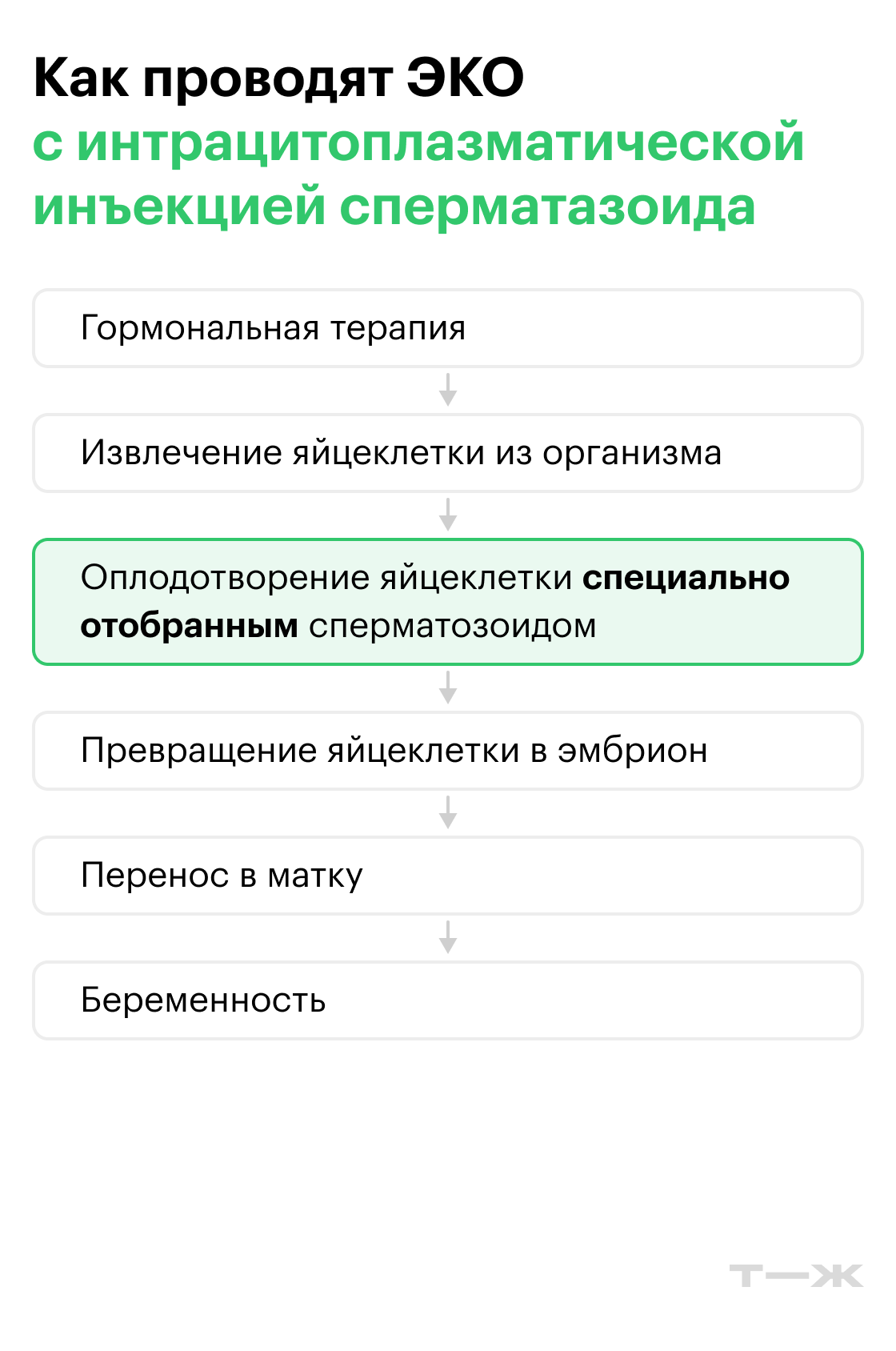 Чем различаются методы ЭКО. Источник: Т—Ж
