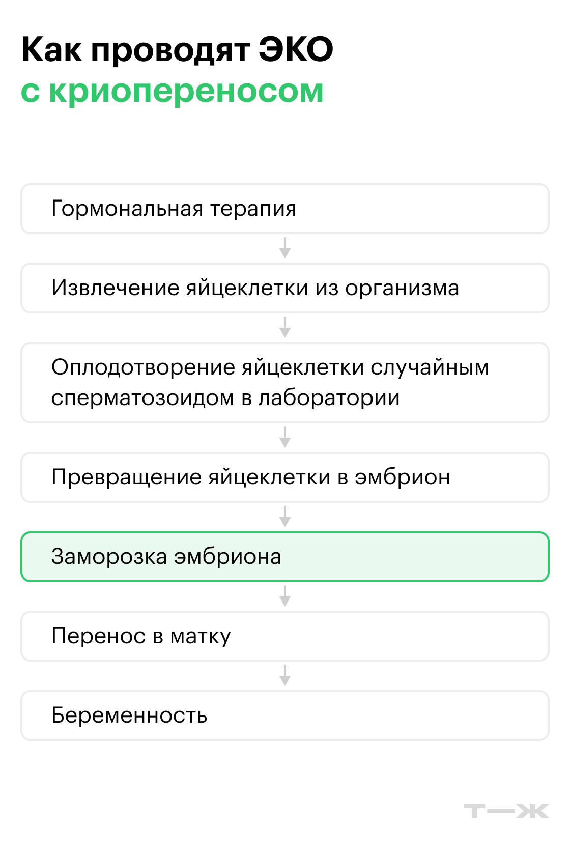 Чем различаются методы ЭКО. Источник: Т—Ж