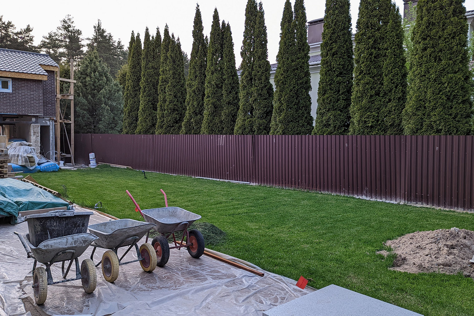 Вот такая «зубастая» стена получается из взрослой туи «смарагд». Источник: razumsad.com