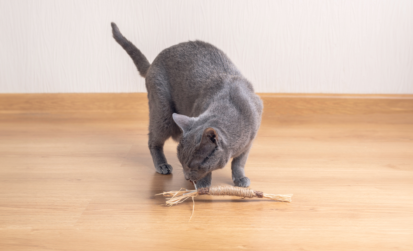 Палочки мататаби для чистки зубов