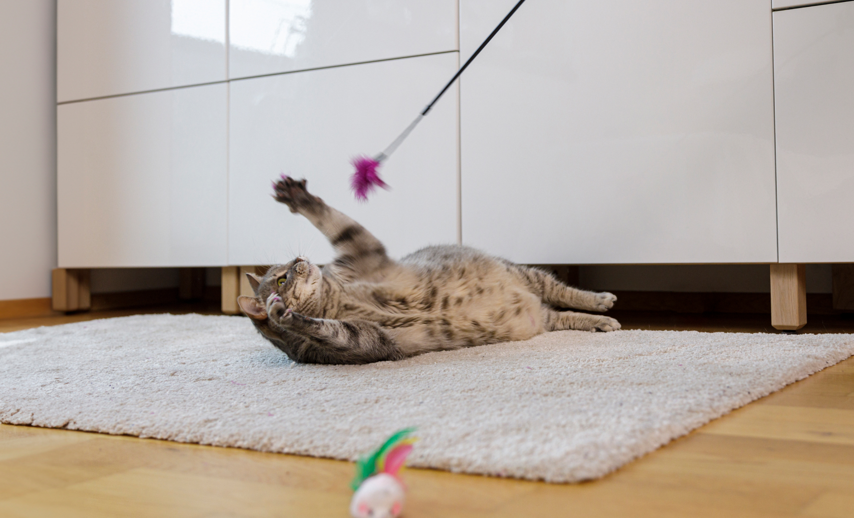 Вовлеченно поиграть с удочкой-махалкой