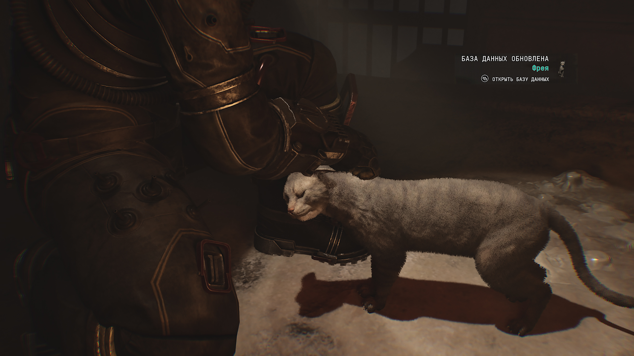 Зато котиков гладить можно! Они за это дают ресурс для прокачки панциря героини. Правда, найти кошек обычно непросто