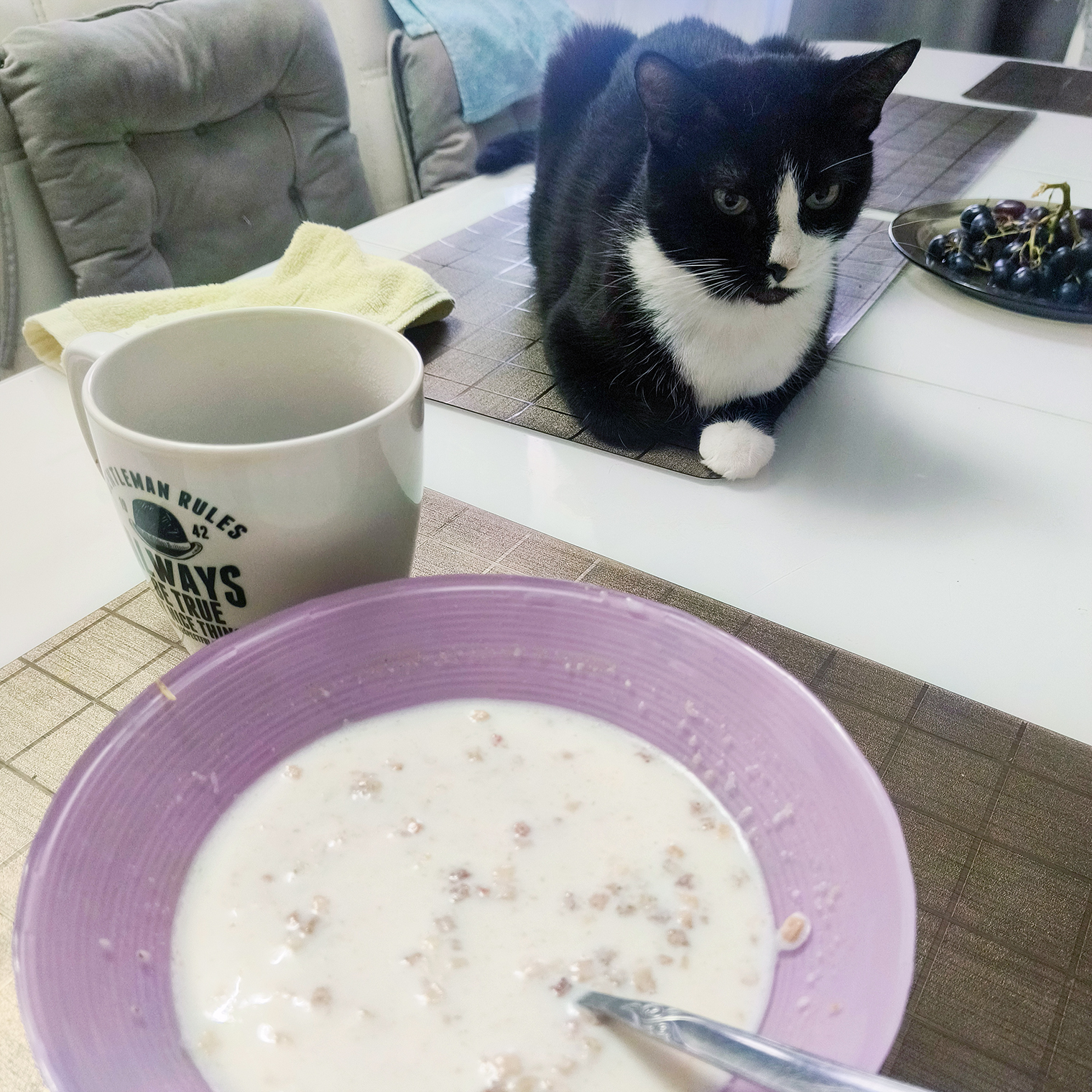 Иногда завтракаю так, но сегодня нет времени поесть дома — беру еду с собой