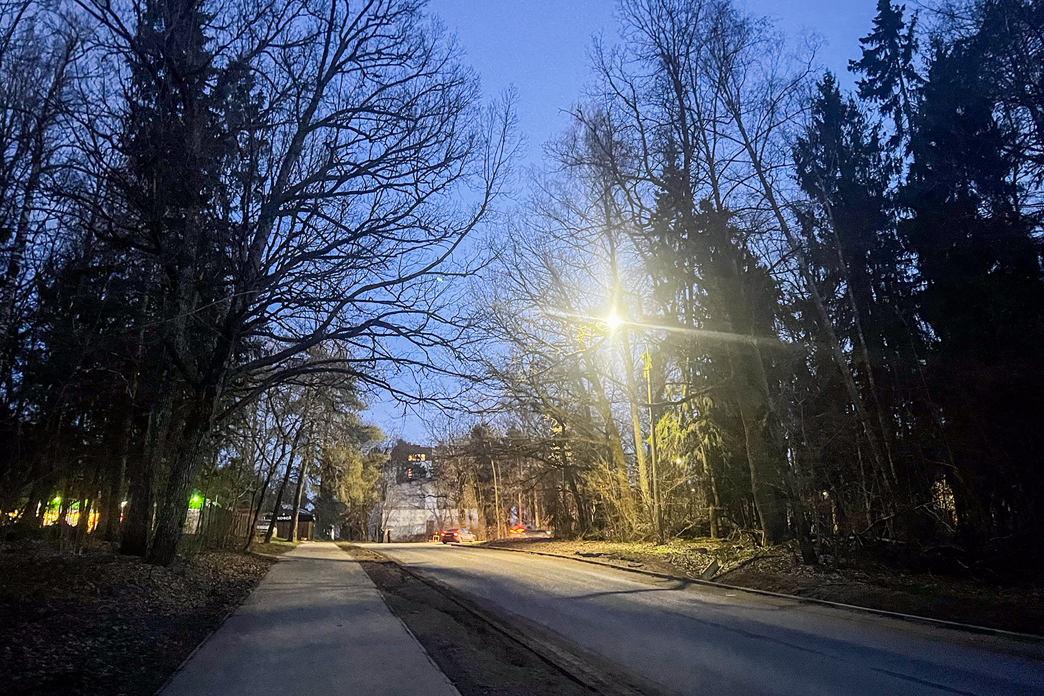 На прогулке