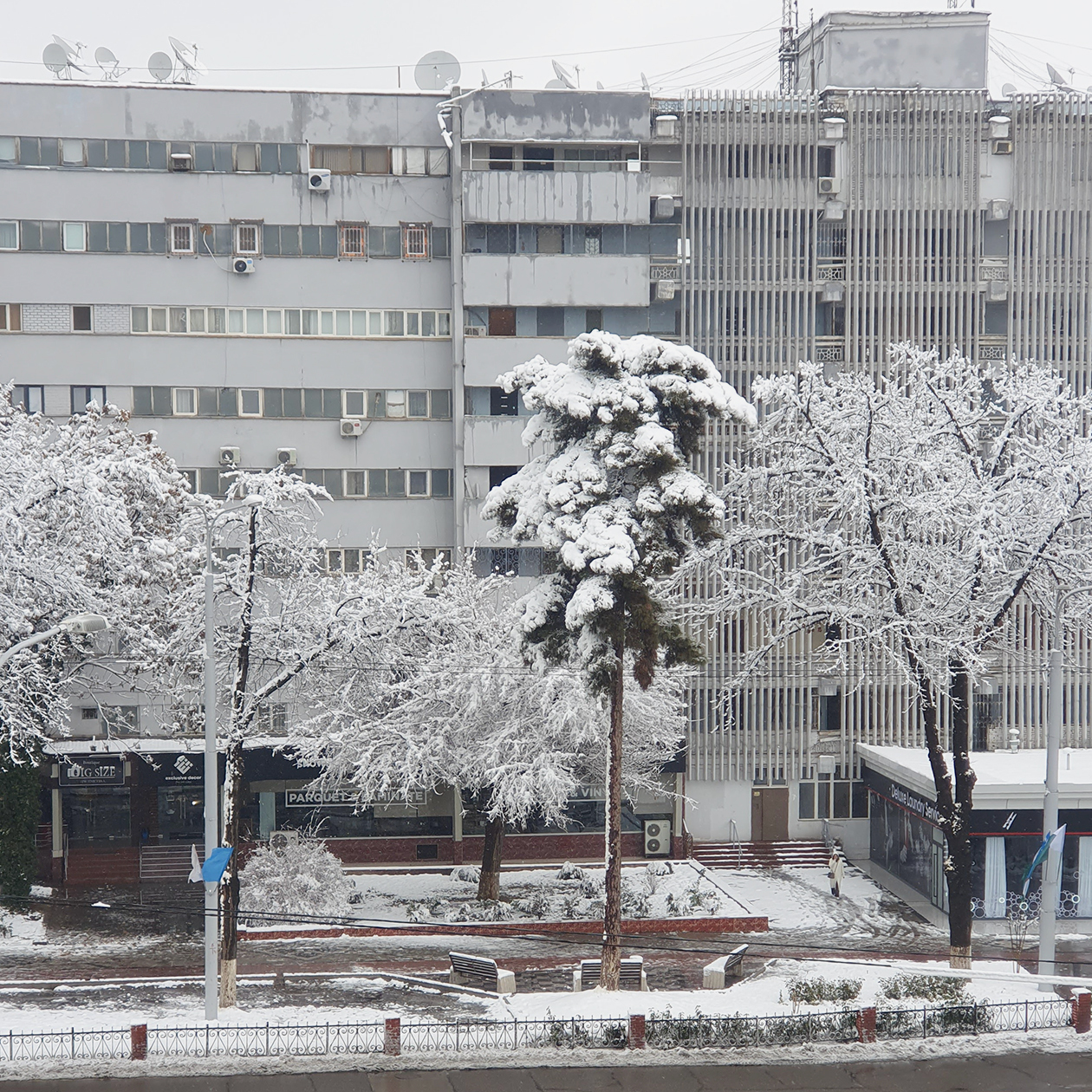 Так снег лежал всего три дня