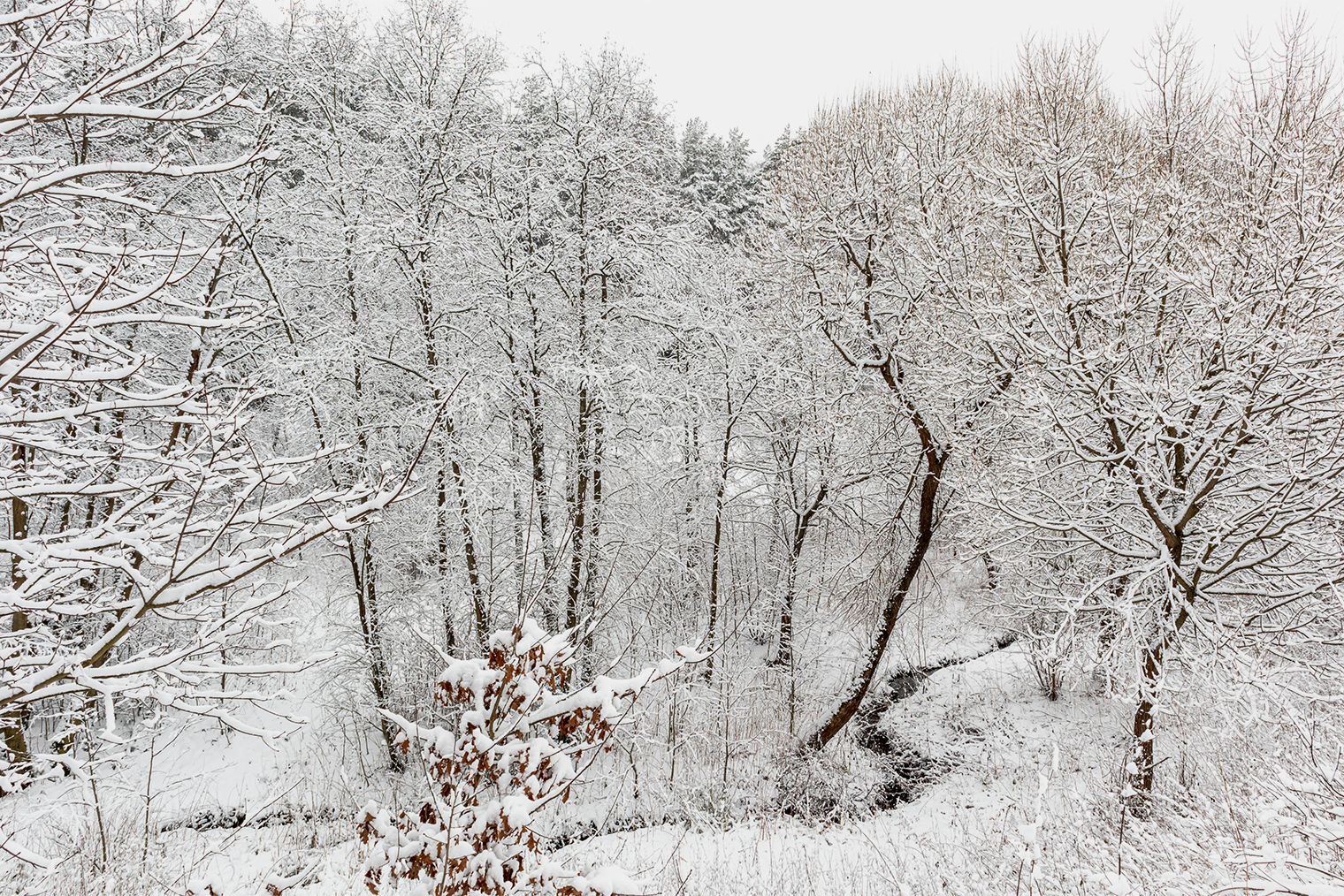 © SergeiEgorov / Shutterstock / FOTODOM